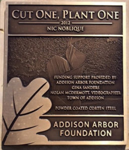 Cutoneplantoneplaque